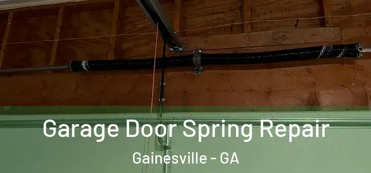  Garage Door Spring Repair Gainesville - GA